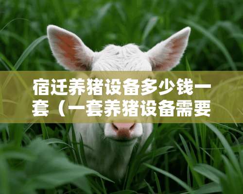 宿迁养猪设备多少钱一套（一套养猪设备需要多少钱）