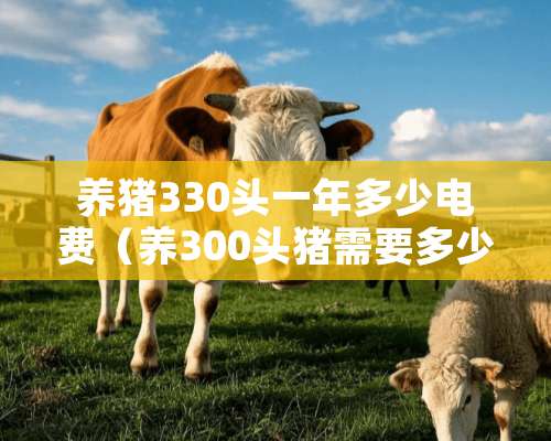 养猪330头一年多少电费（养300头猪需要多少投资）