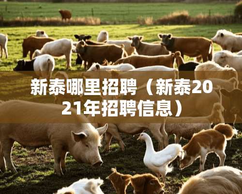 新泰哪里招聘（新泰2021年招聘信息）