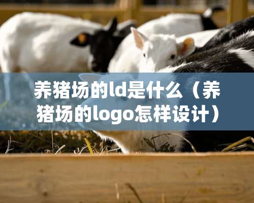 养猪场的ld是什么（养猪场的logo怎样设计）