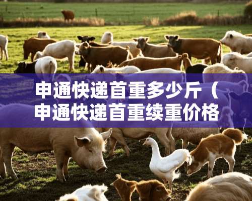 申通快递首重多少斤（申通快递首重续重价格表）