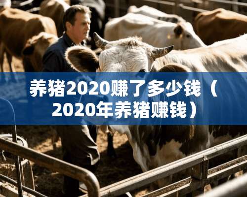 养猪2020赚了多少钱（2020年养猪赚钱）