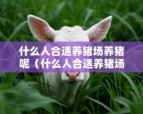 什么人合适养猪场养猪呢（什么人合适养猪场养猪呢视频）