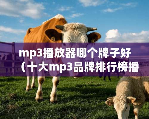 mp3播放器哪个牌子好（十大mp3品牌排行榜播放器品牌）