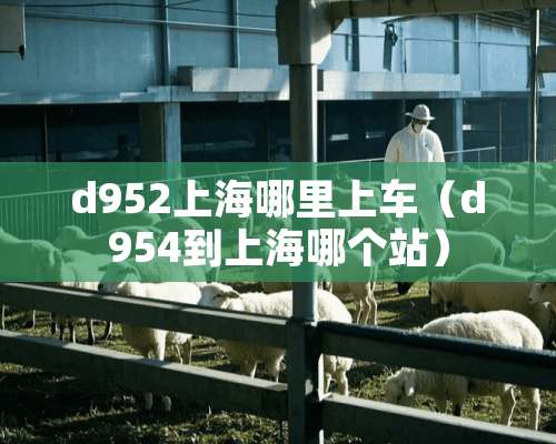 d952上海哪里上车（d954到上海哪个站）