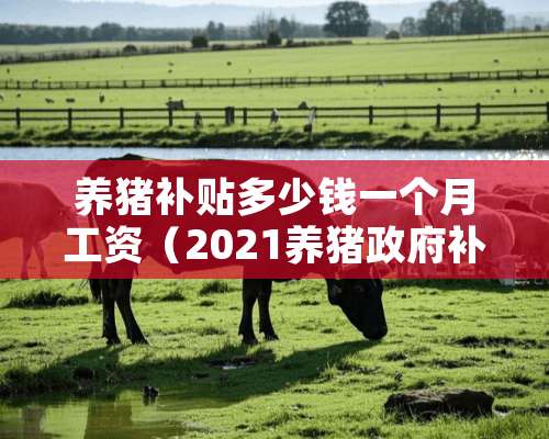 养猪补贴多少钱一个月工资（2021养猪**补贴多少钱）