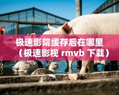 极速影院缓存后在哪里（极速影视 rmvb 下载）