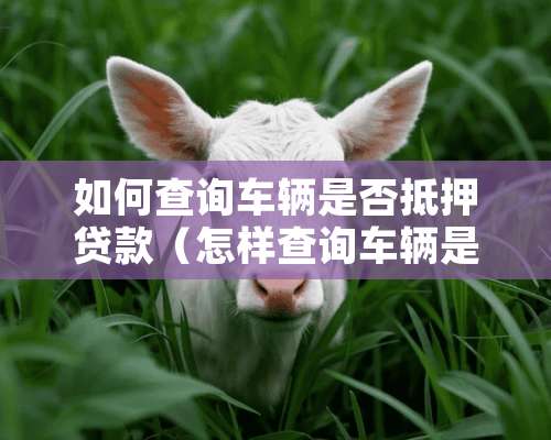 如何查询车辆是否抵押贷款（怎样查询车辆是否抵押贷款）