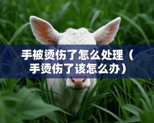 手被烫伤了怎么处理（手烫伤了该怎么办）