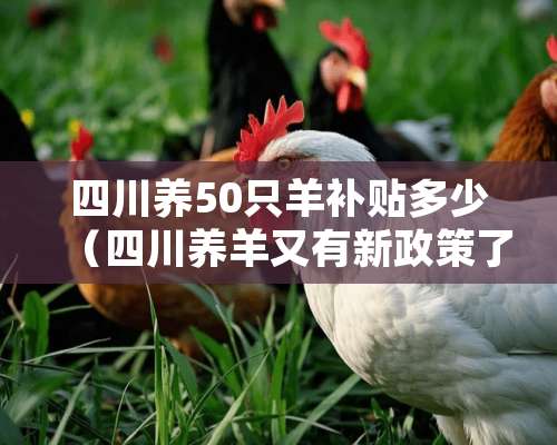 四川养50只羊补贴多少（四川养羊又有新政策了）