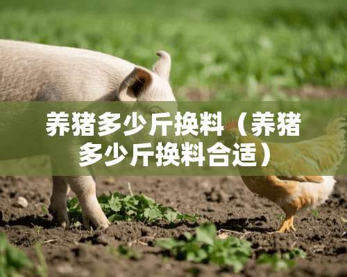 养猪多少斤换料（养猪多少斤换料合适）