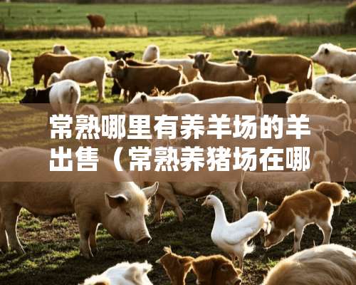 常熟哪里有养羊场的羊出售（常熟养猪场在哪里）