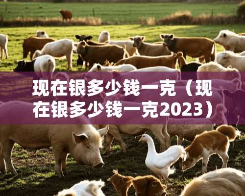 现在银多少钱一克（现在银多少钱一克2023）