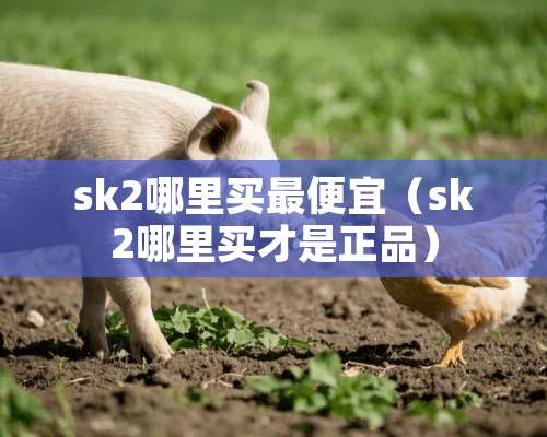 sk2哪里买最便宜（sk2哪里买才是正品）