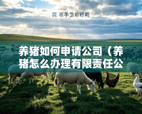 养猪如何申请公司（养猪怎么办理有限责任公司）