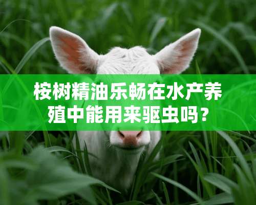 桉树精油乐畅在水产养殖中能用来驱虫吗？