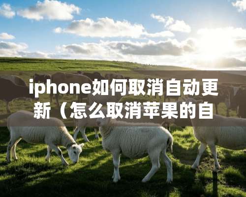 iphone如何取消自动更新（怎么取消苹果的自动更新）