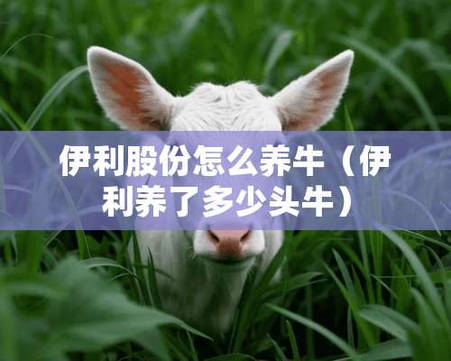 伊利股份怎么养牛（伊利养了多少头牛）