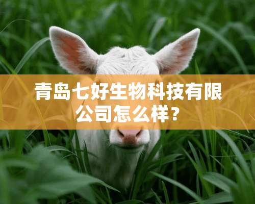 青岛七好生物科技有限公司怎么样？