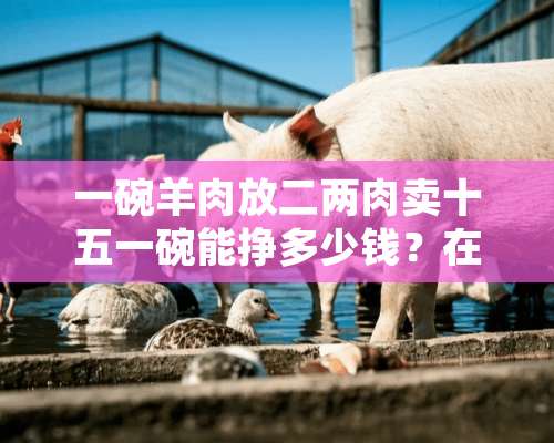 一碗羊肉放二两肉卖十五一碗能挣多少钱？在潍坊市寒亭区