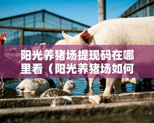 阳光养猪场提现码在哪里看（阳光养猪场如何提现）