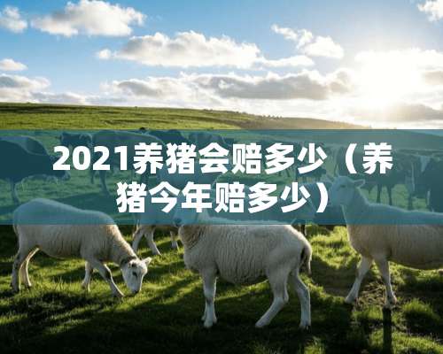 2021养猪会赔多少（养猪今年赔多少）