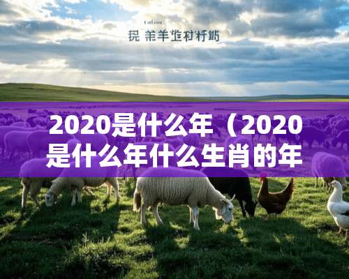 2020是什么年（2020是什么年什么生肖的年）