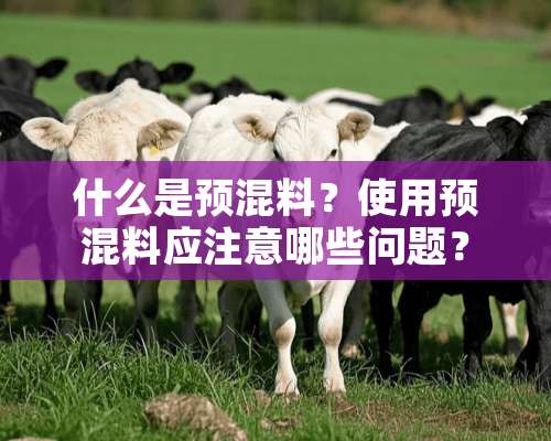 什么是预混料？使用预混料应注意哪些问题？