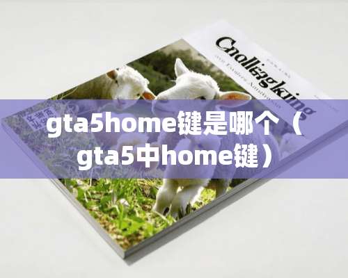 gta5home键是哪个（gta5中home键）