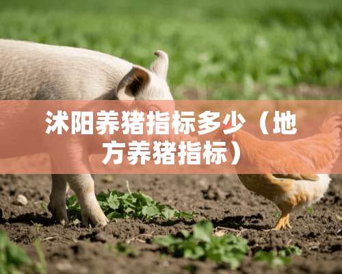 沭阳养猪指标多少（地方养猪指标）