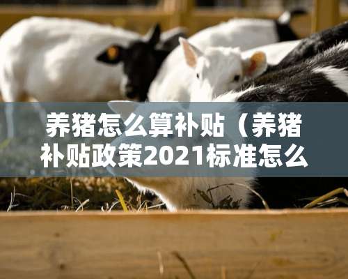 养猪怎么算补贴（养猪补贴政策2021标准怎么申请）