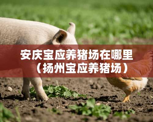 安庆宝应养猪场在哪里（扬州宝应养猪场）