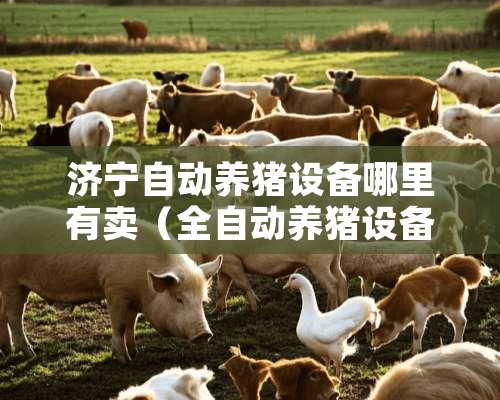 济宁自动养猪设备哪里有卖（全自动养猪设备公司）