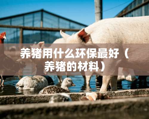 养猪用什么环保最好（养猪的材料）