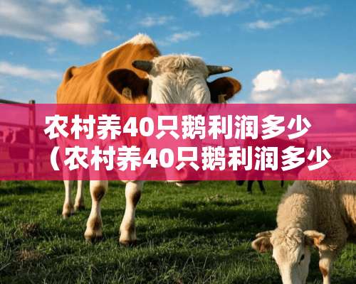 农村养40只鹅利润多少（农村养40只鹅利润多少）