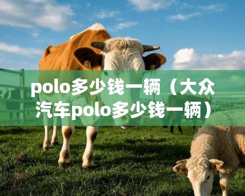 polo多少钱一辆（大众汽车polo多少钱一辆）