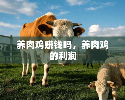 养肉鸡赚钱吗，养肉鸡的利润