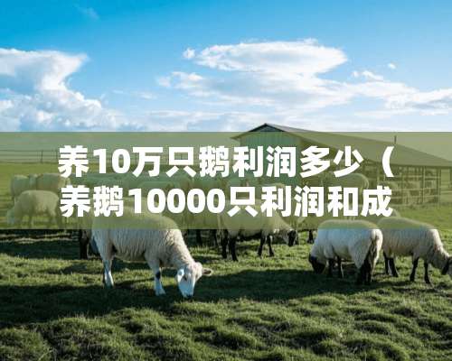 养10万只鹅利润多少（养鹅10000只利润和成本）