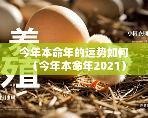 今年本命年的运势如何（今年本命年2021）