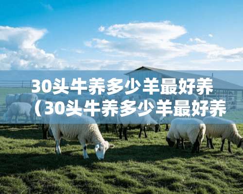 30头牛养多少羊最好养（30头牛养多少羊最好养呢）