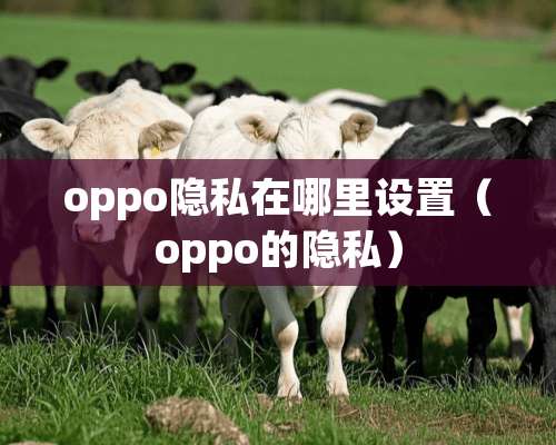 oppo隐私在哪里设置（oppo的隐私）