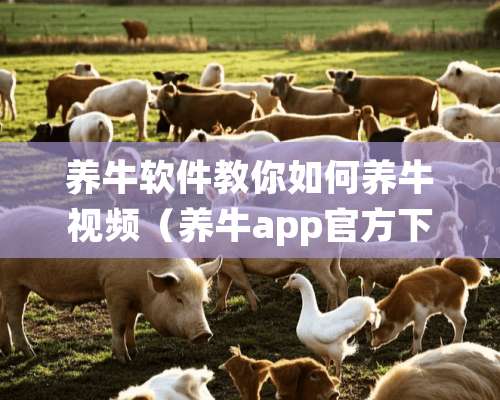 养牛软件教你如何养牛视频（养牛app官方下载）