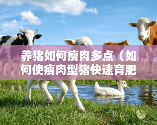 养猪如何瘦肉多点（如何使瘦肉型猪快速育肥）