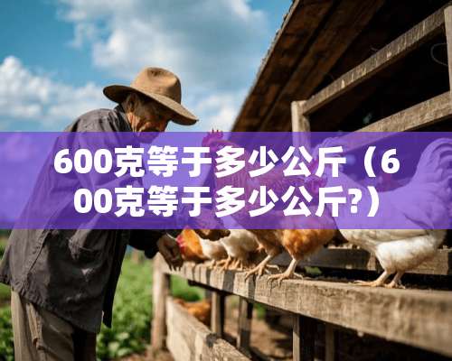 600克等于多少公斤（600克等于多少公斤?）