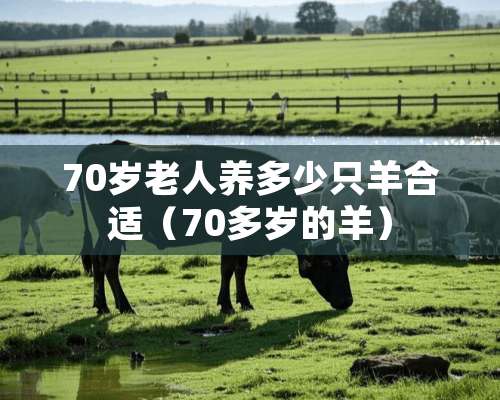 70岁老人养多少只羊合适（70多岁的羊）