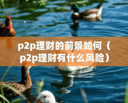 p2p理财的前景如何（p2p理财有什么风险）