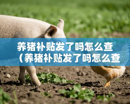 养猪补贴发了吗怎么查（养猪补贴发了吗怎么查询）