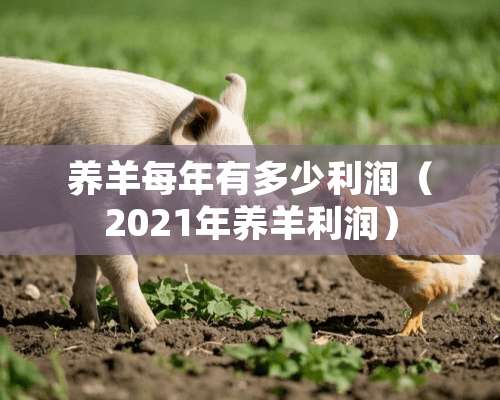 养羊每年有多少利润（2021年养羊利润）