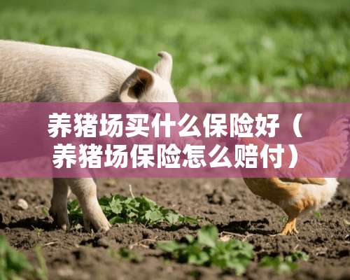 养猪场买什么保险好（养猪场保险怎么赔付）