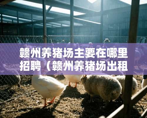 赣州养猪场主要在哪里招聘（赣州养猪场出租最新信息）